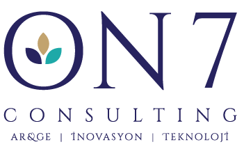 ON7 CONSULTING Logo